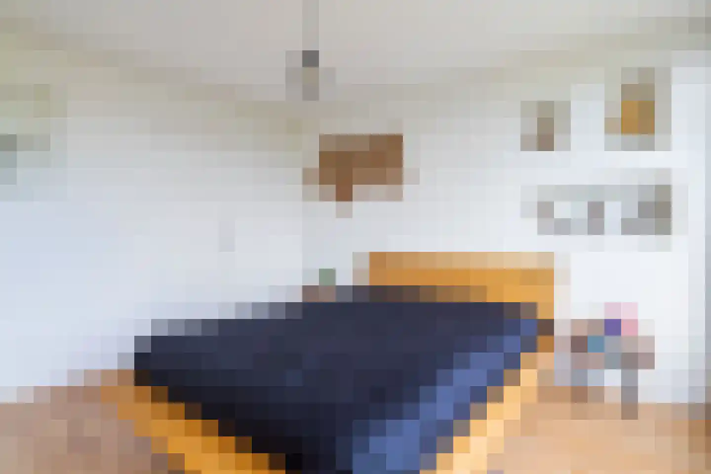 Schepenstraat 46 B 02 Rotterdam thumbnail 32