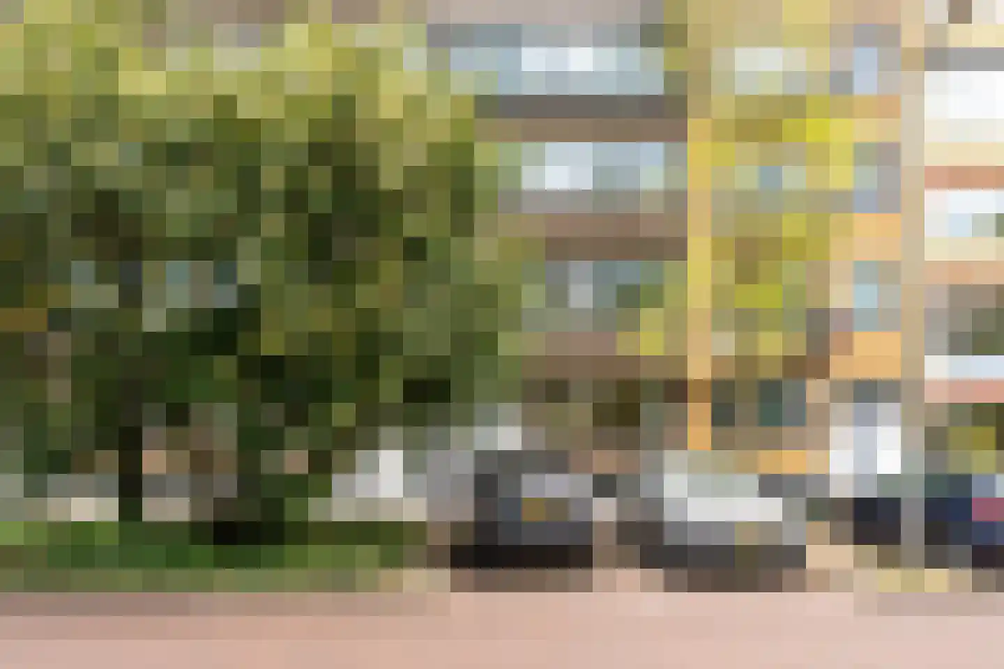 Schepenstraat 56 B Rotterdam thumbnail 33