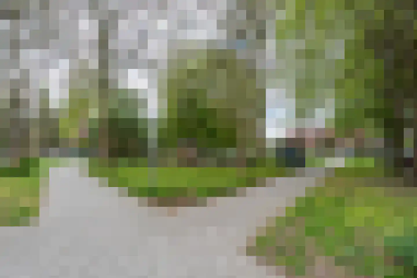 Schepenstraat 56 B Rotterdam thumbnail 37