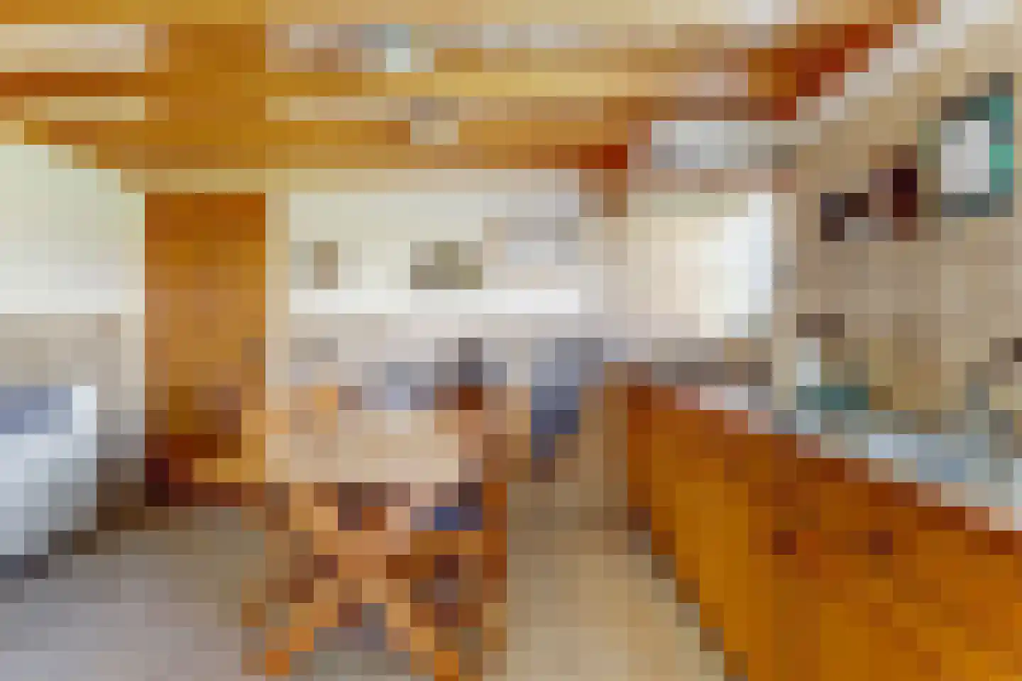 Schepenstraat 6 Dreumel thumbnail 10