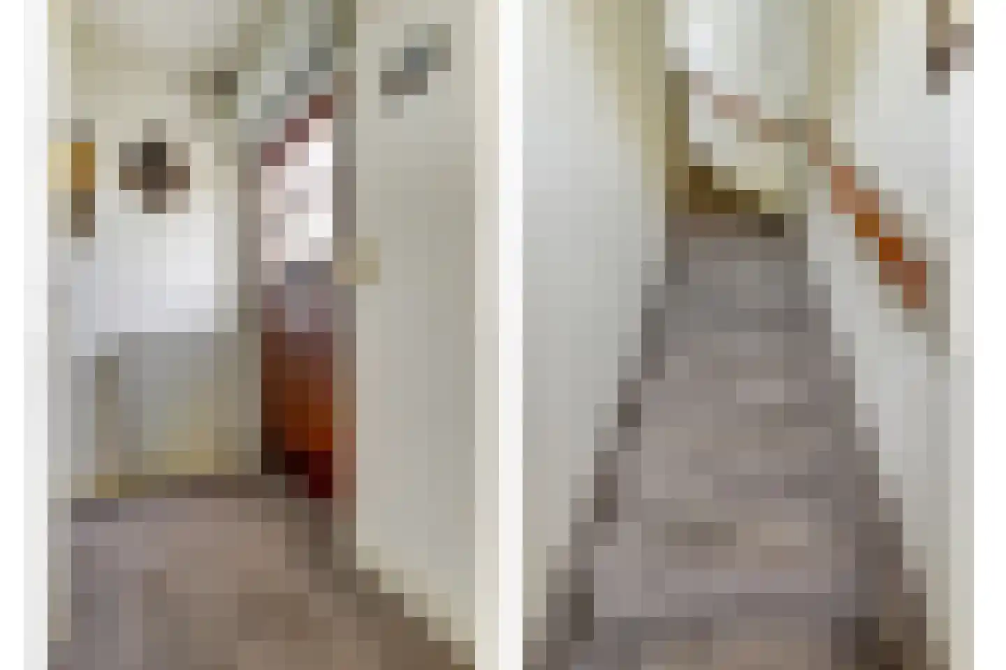 Schepenstraat 6 Dreumel thumbnail 14