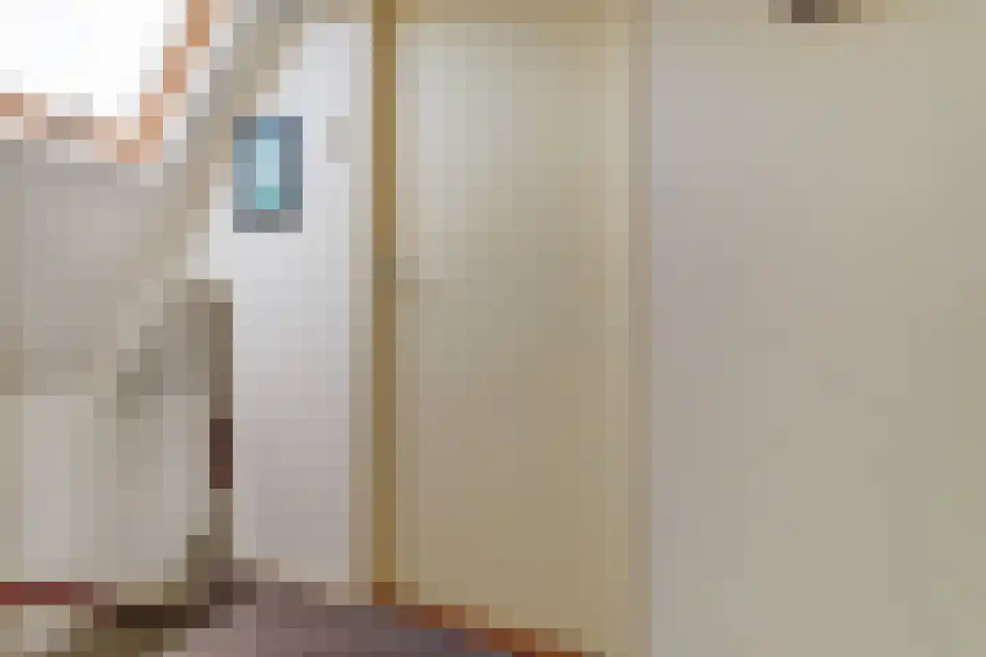 Schepenstraat 6 Dreumel thumbnail 15