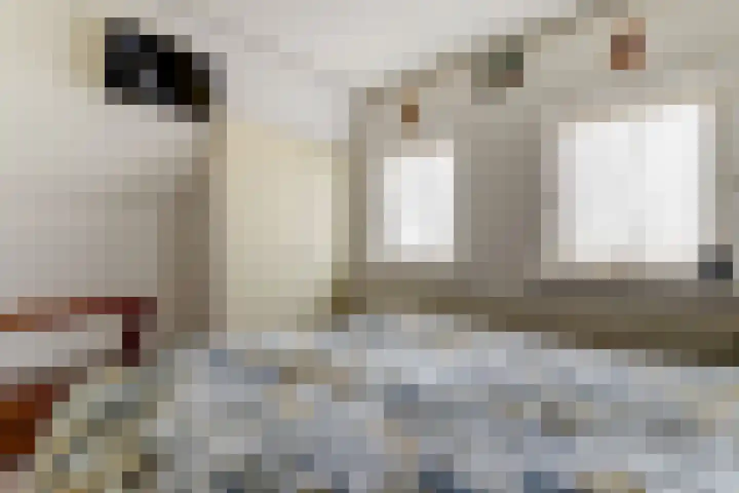 Schepenstraat 6 Dreumel thumbnail 17