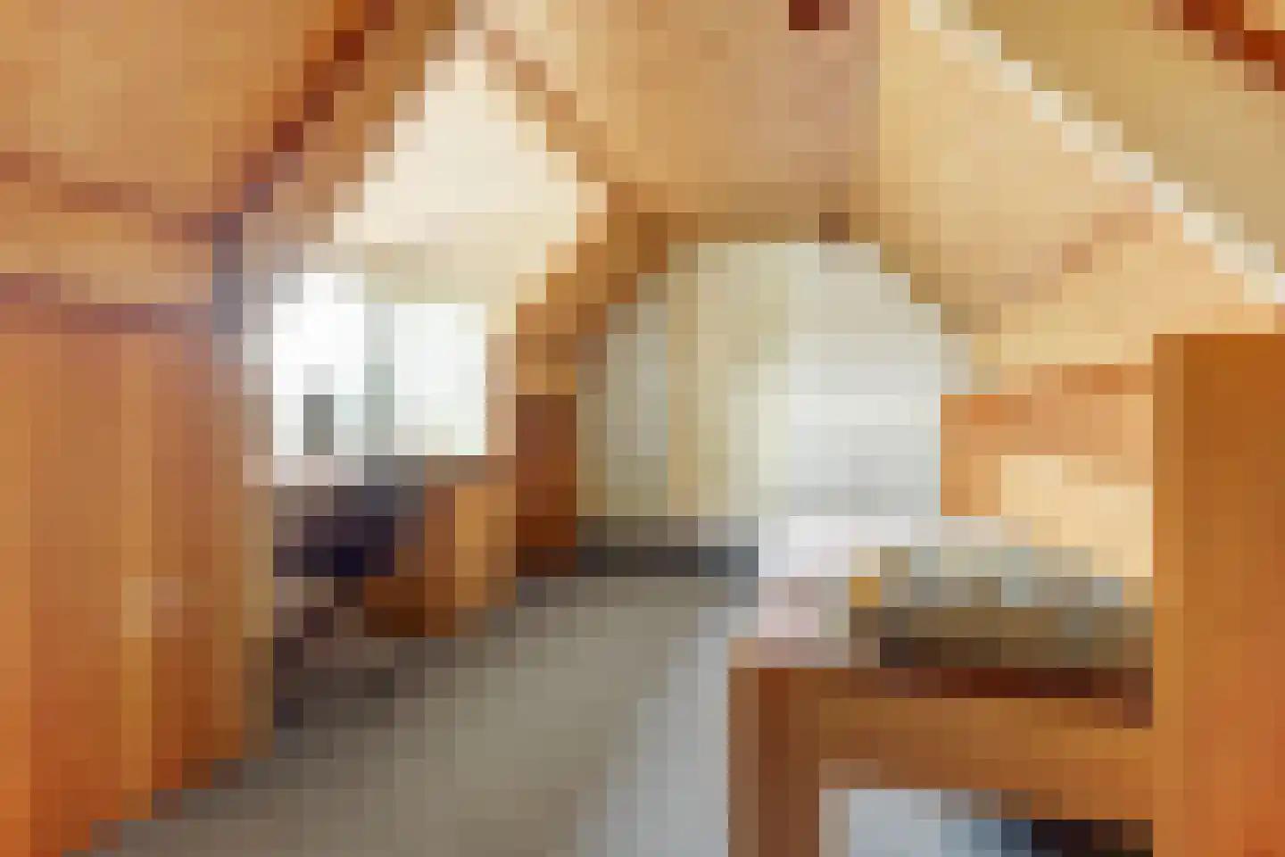 Schepenstraat 6 Dreumel thumbnail 18