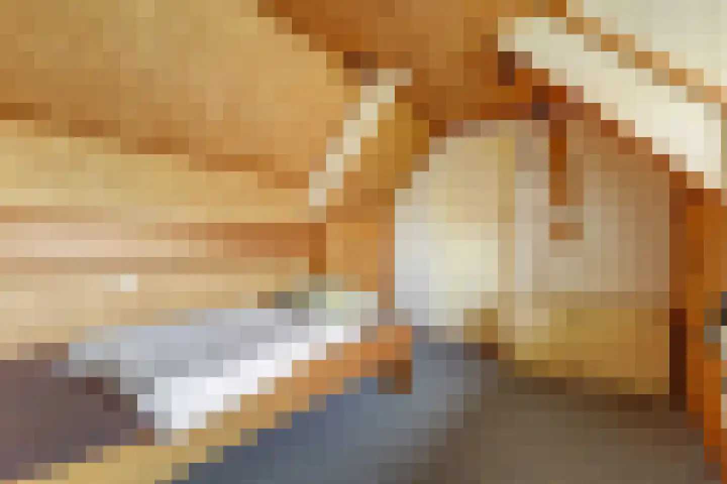 Schepenstraat 6 Dreumel thumbnail 19