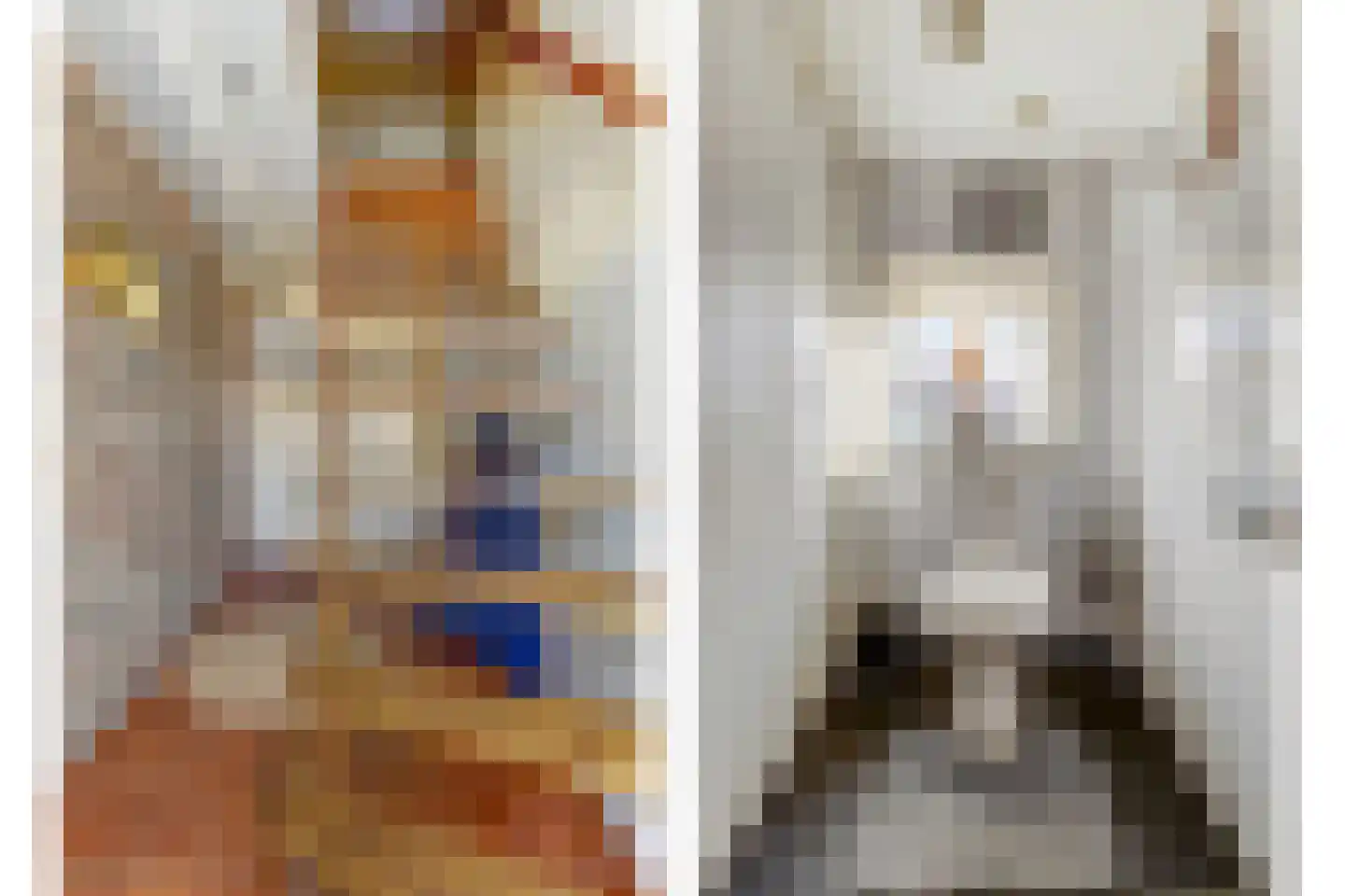 Schepenstraat 6 Dreumel thumbnail 20