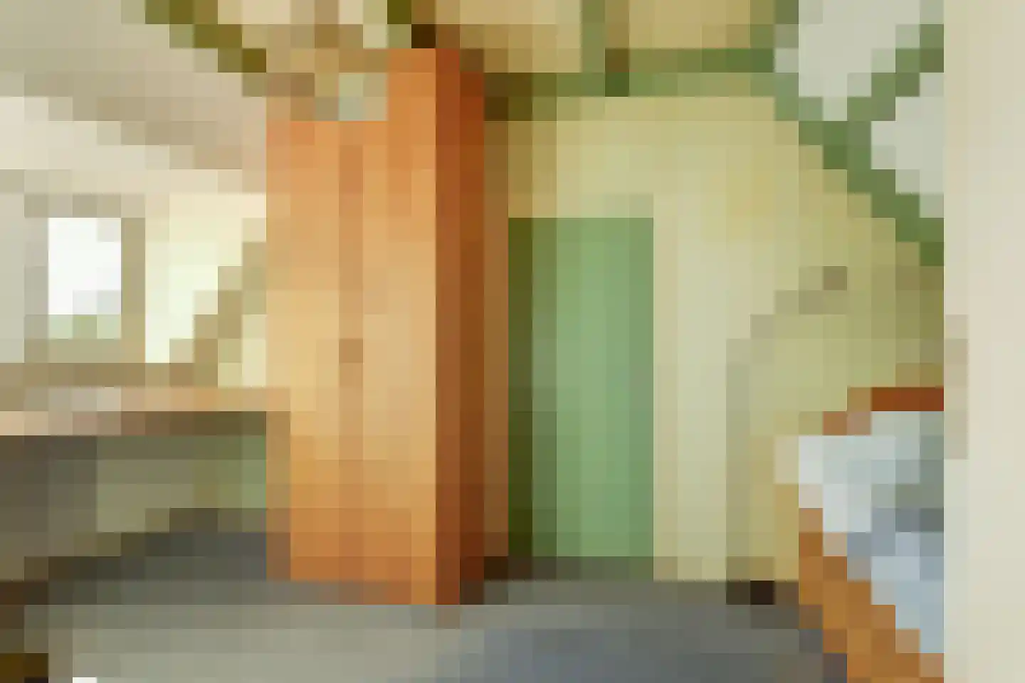 Schepenstraat 6 Dreumel thumbnail 22