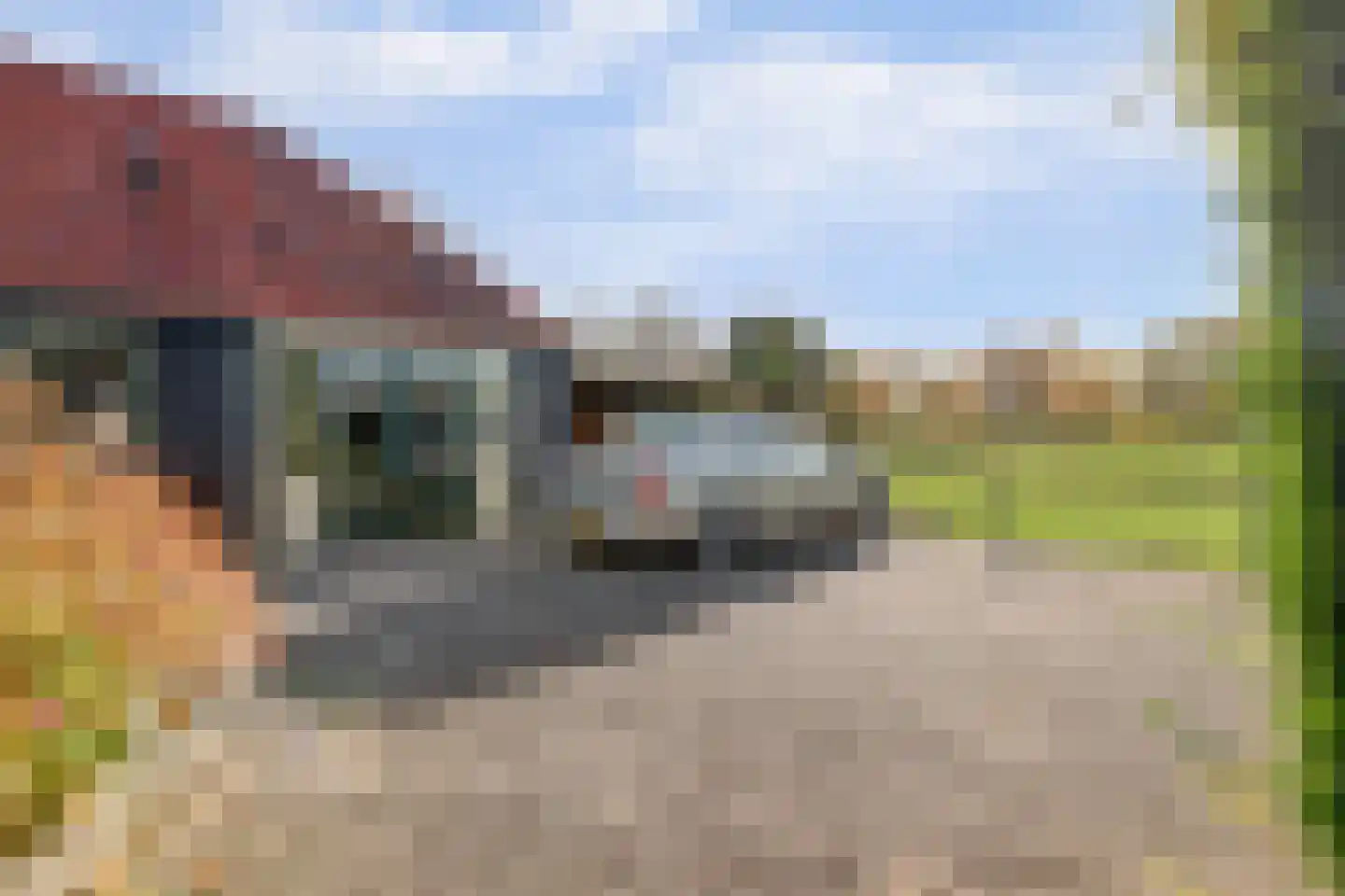 Schepenstraat 6 Dreumel thumbnail 30