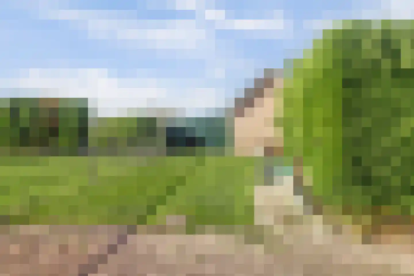 Schepenstraat 6 Dreumel thumbnail 35