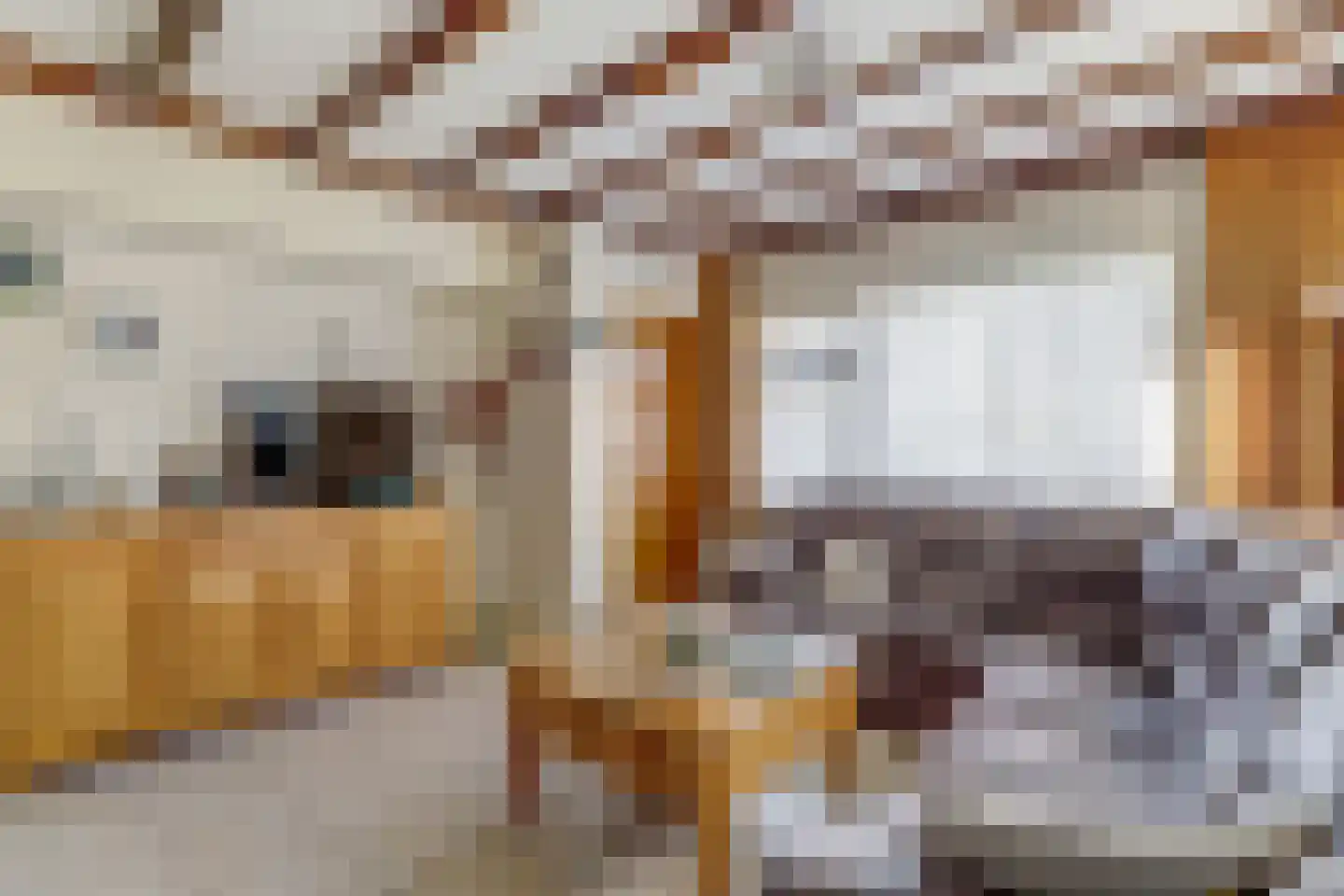 Schepenstraat 6 Dreumel thumbnail 5