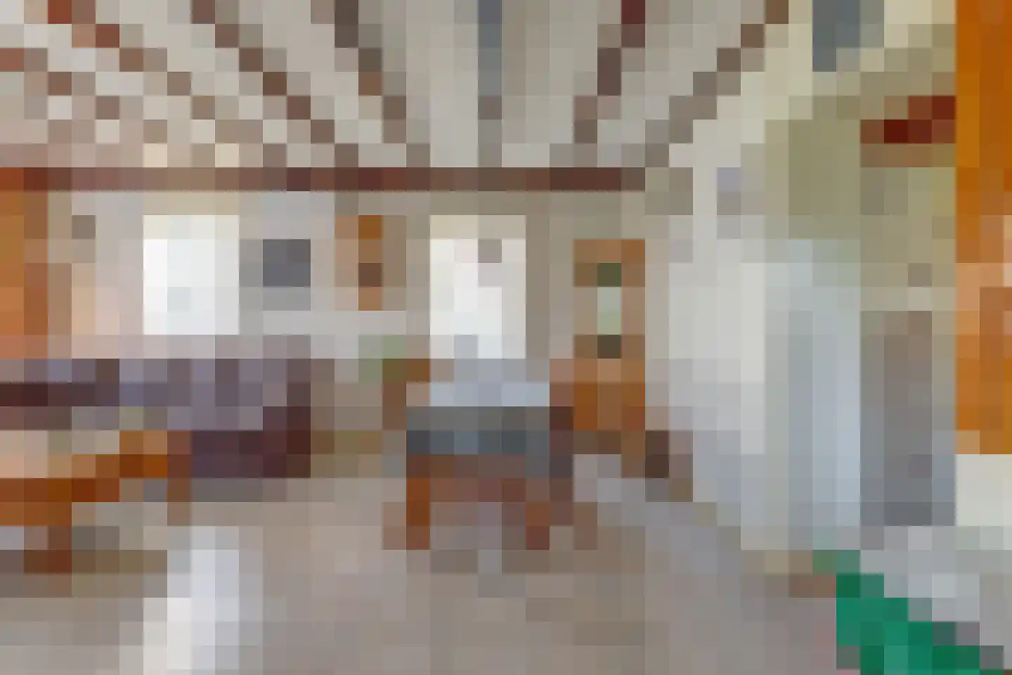 Schepenstraat 6 Dreumel thumbnail 7