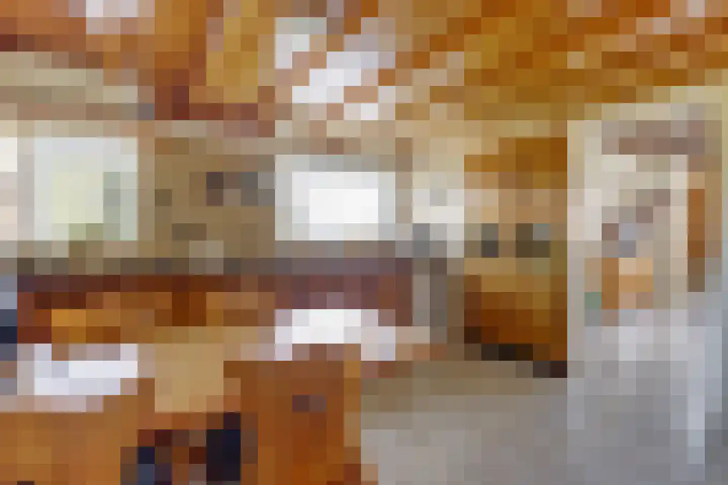 Schepenstraat 6 Dreumel thumbnail 8