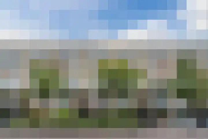 Schepenstraat 66 B in Rotterdam