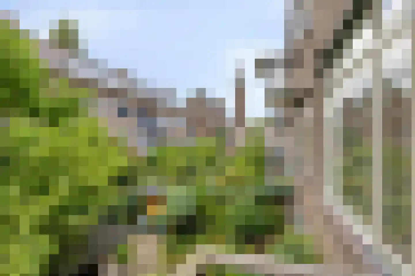 Schepenstraat 85 B Rotterdam thumbnail 34