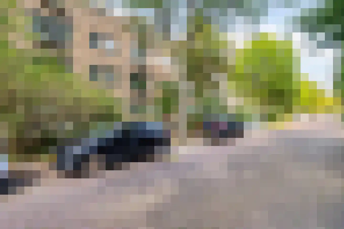 Schepenstraat 85 B Rotterdam thumbnail 35
