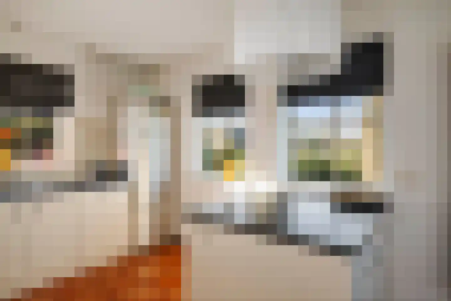 Scheperboersweg 8 Bathmen thumbnail 15
