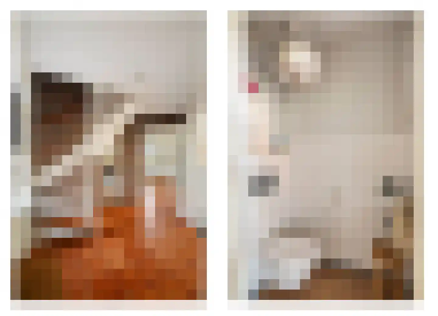 Scheperboersweg 8 Bathmen thumbnail 25
