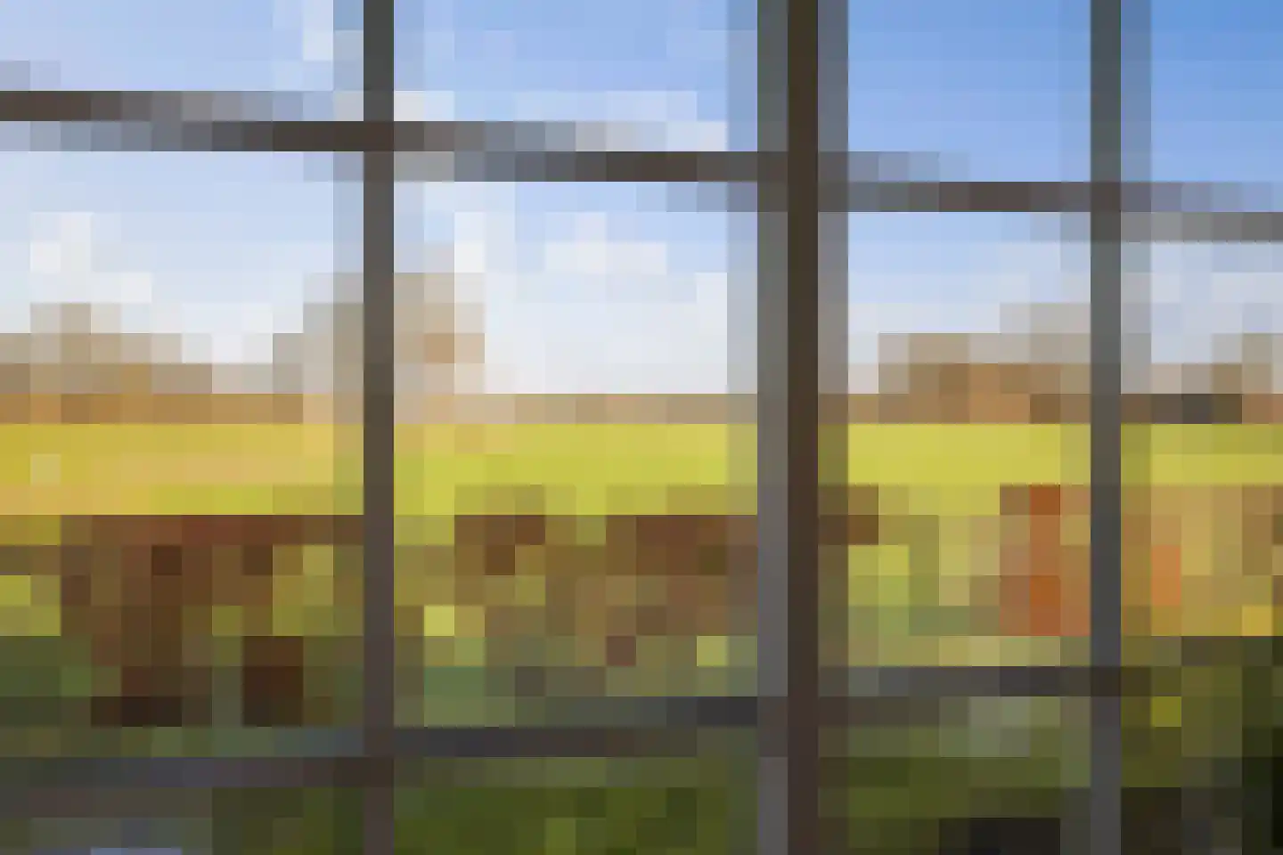 Scheperboersweg 8 Bathmen thumbnail 6