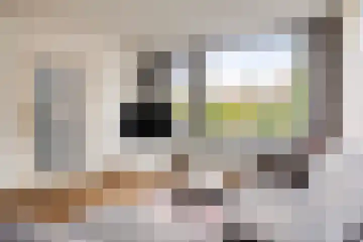 Scheperij 27 Zuidlaren thumbnail 10