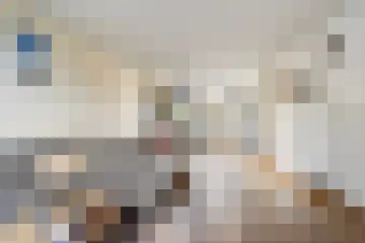 Scheperij 27 Zuidlaren thumbnail 11
