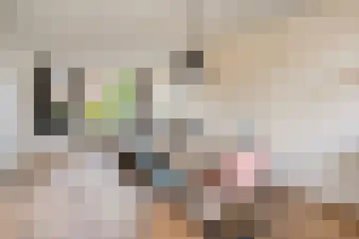 Scheperij 27 Zuidlaren thumbnail 13