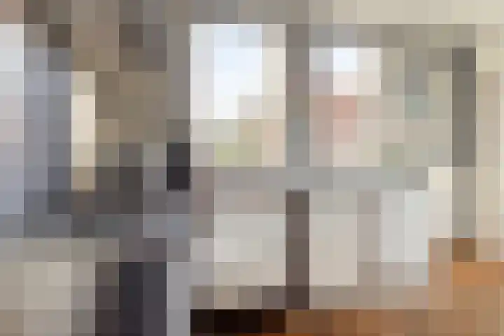 Scheperij 27 Zuidlaren thumbnail 15