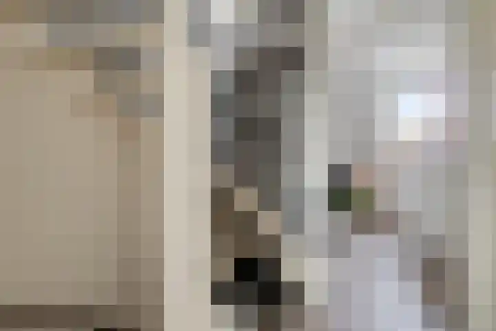 Scheperij 27 Zuidlaren thumbnail 17