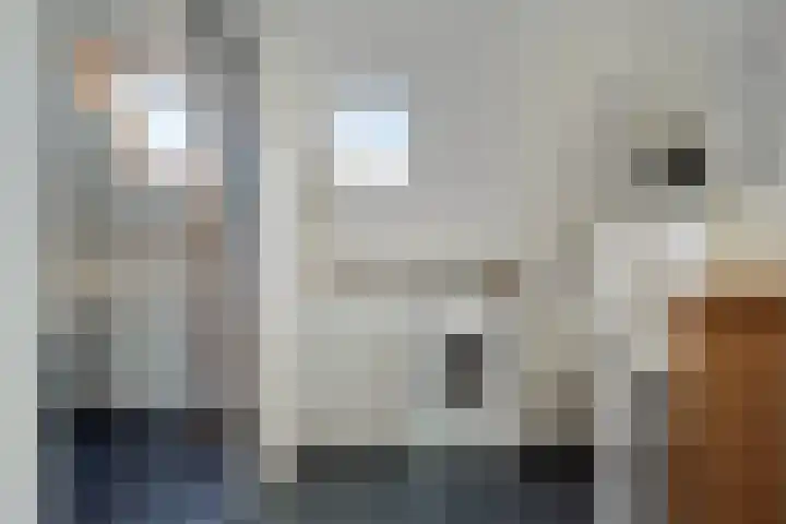 Scheperij 27 Zuidlaren thumbnail 25