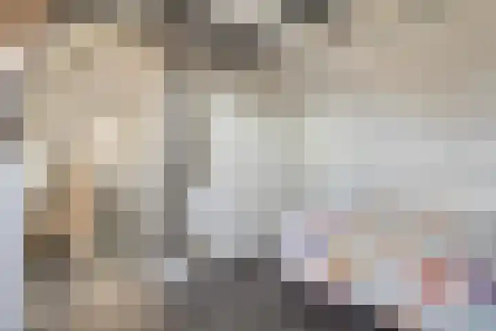 Scheperij 27 Zuidlaren thumbnail 27