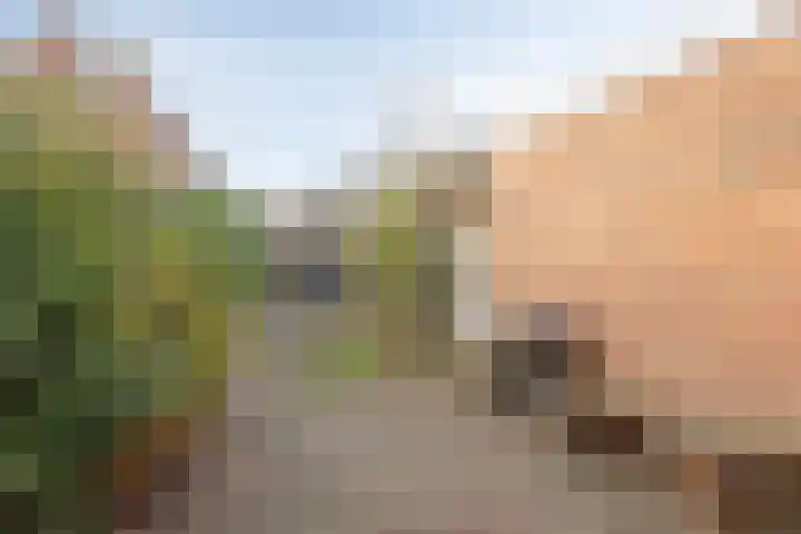 Scheperij 27 Zuidlaren thumbnail 28