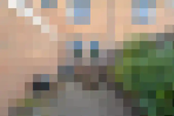 Scheperij 27 Zuidlaren thumbnail 29