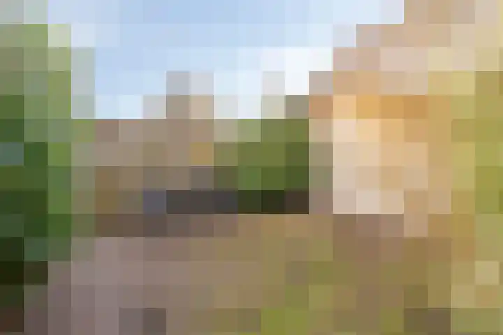 Scheperij 27 Zuidlaren thumbnail 30