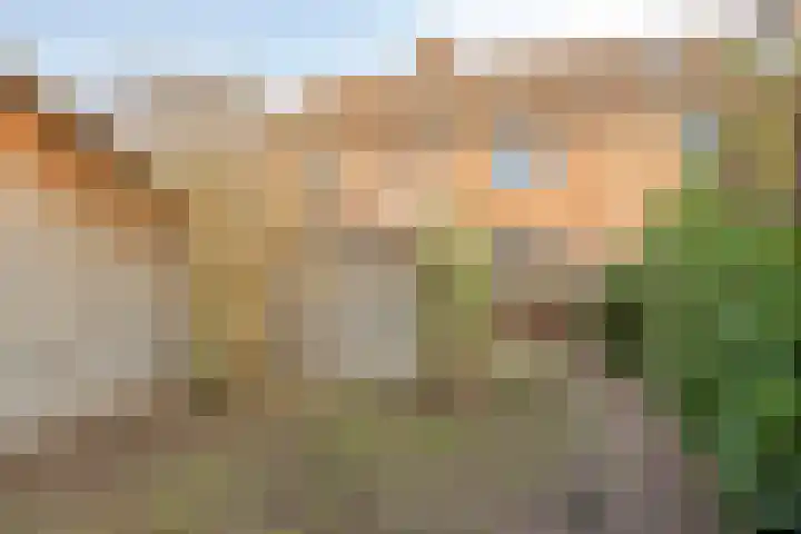 Scheperij 27 Zuidlaren thumbnail 31