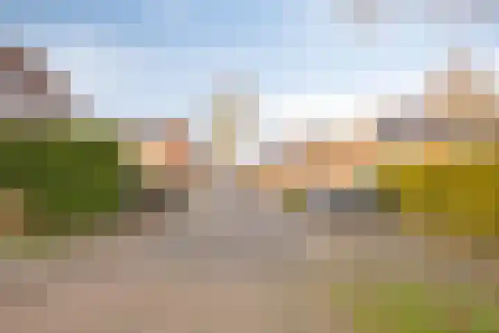 Scheperij 27 Zuidlaren thumbnail 32