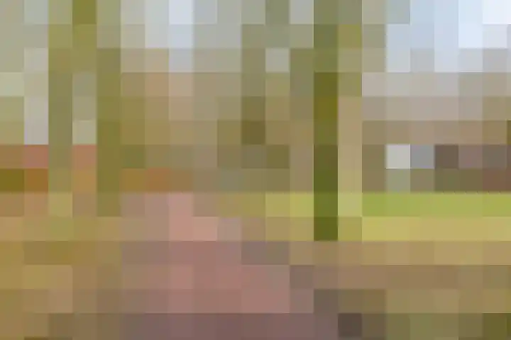 Scheperij 27 Zuidlaren thumbnail 33