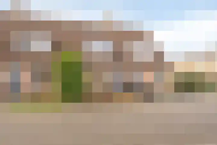 Scheperij 27 Zuidlaren thumbnail 6