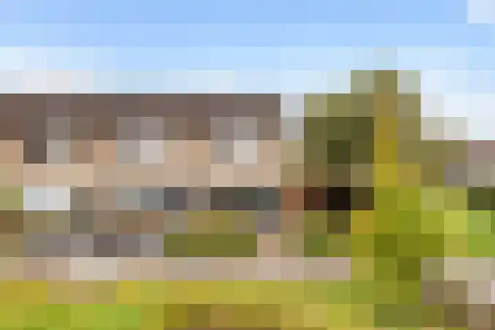 Schepersbos 1 in Wezep