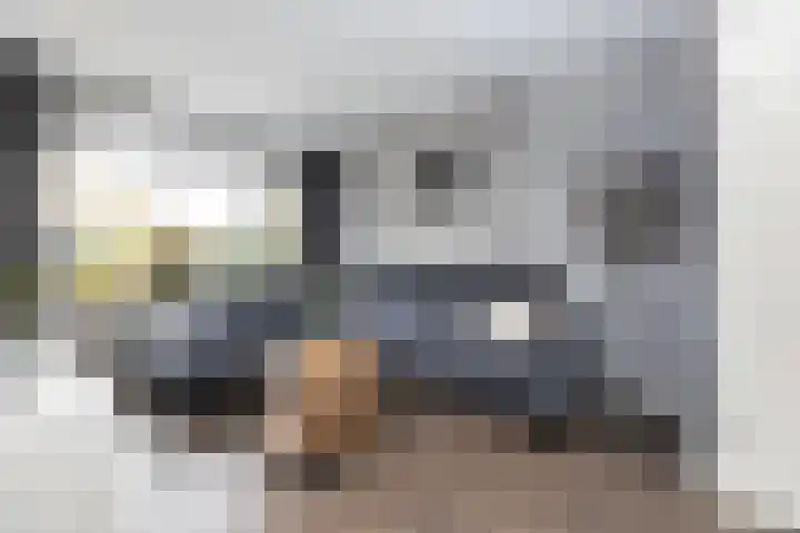 Schepersbos 1 Wezep thumbnail 10