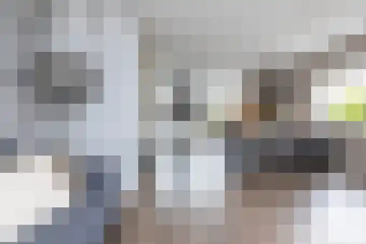 Schepersbos 1 Wezep thumbnail 11