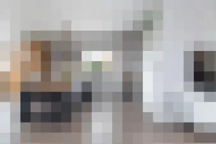 Schepersbos 1 Wezep thumbnail 12