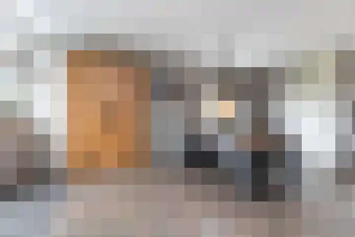 Schepersbos 1 Wezep thumbnail 15