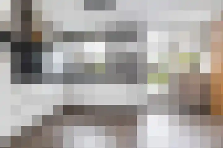 Schepersbos 1 Wezep thumbnail 17