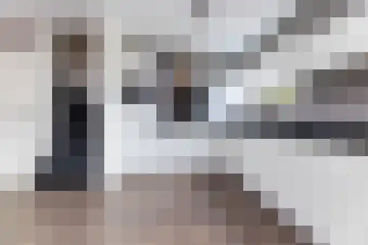 Schepersbos 1 Wezep thumbnail 18
