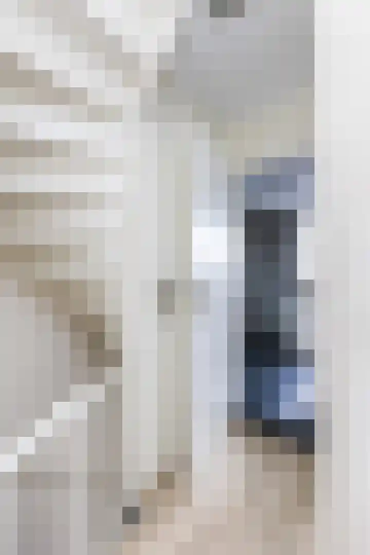 Schepersbos 1 Wezep thumbnail 20