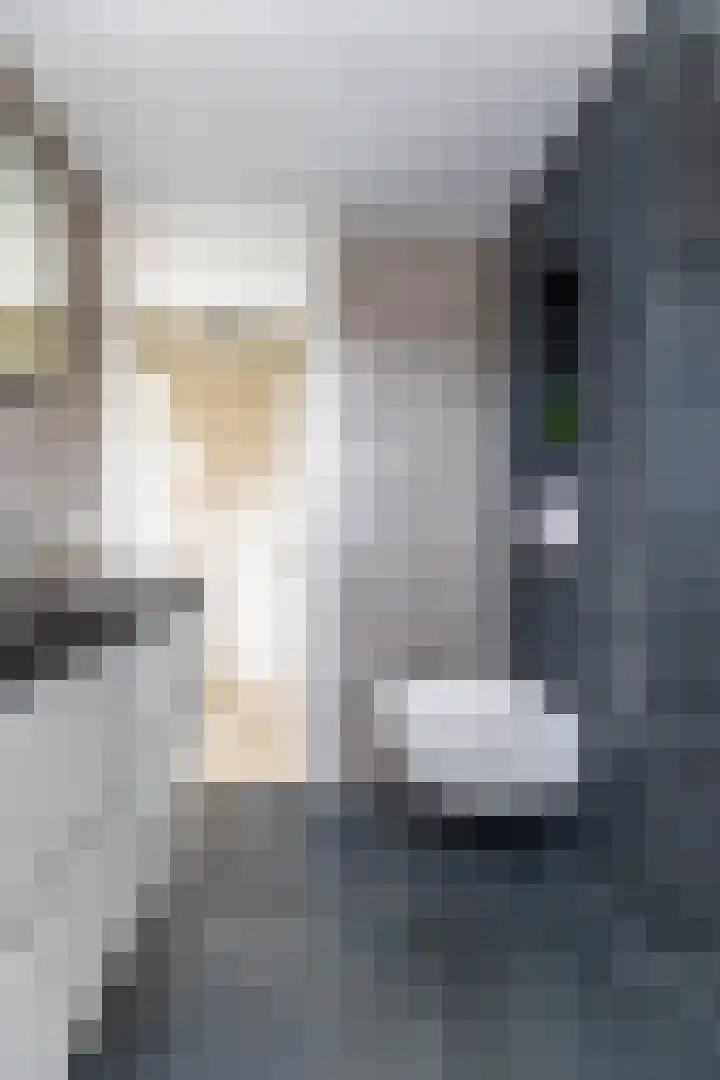 Schepersbos 1 Wezep thumbnail 22