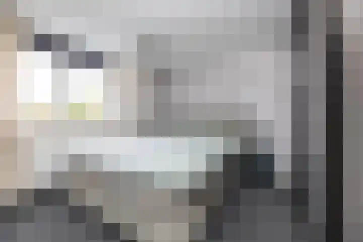 Schepersbos 1 Wezep thumbnail 23