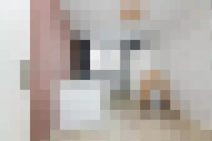 Schepersbos 1 Wezep thumbnail 24