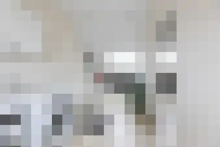 Schepersbos 1 Wezep thumbnail 28