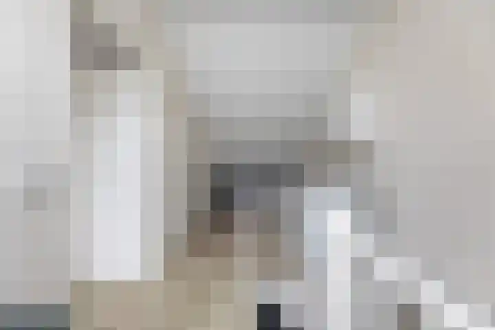 Schepersbos 1 Wezep thumbnail 29