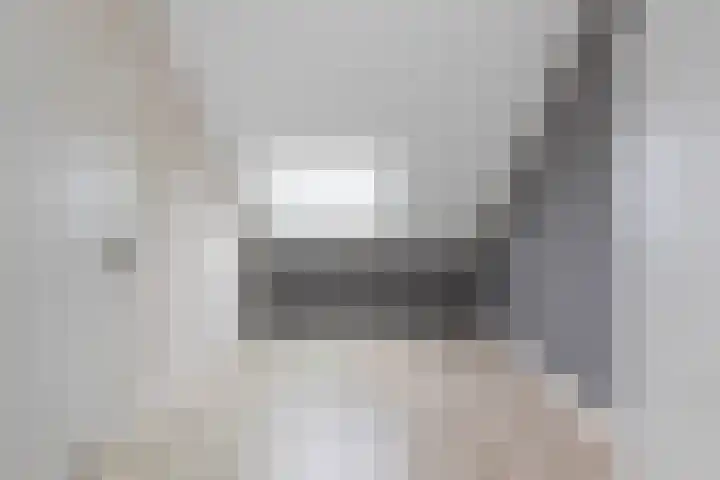 Schepersbos 1 Wezep thumbnail 32